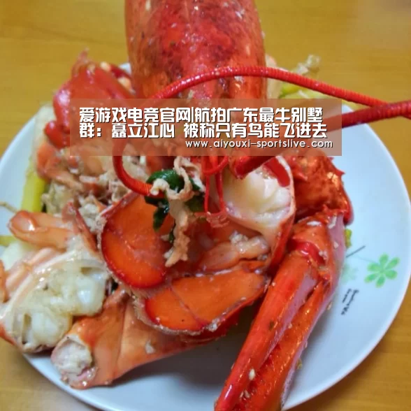 爱游戏电竞官网