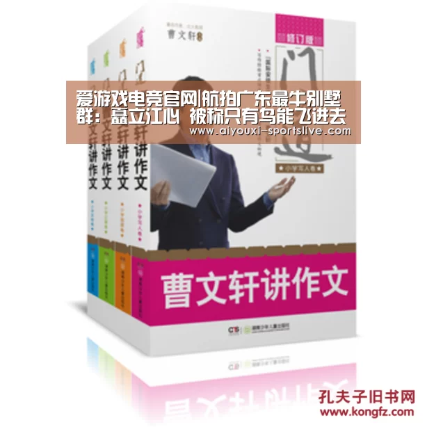 爱游戏电竞娱乐平台