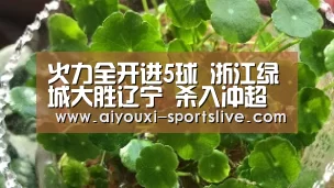 爱游戏电竞娱乐平台