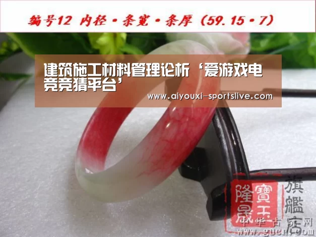 爱游戏电竞竞猜平台