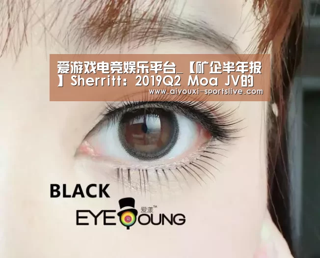 爱游戏电竞娱乐平台_【矿企半年报】Sherritt:2019Q2 Moa JV的成品镍产量同比增长7%(图3) 爱游戏电竞官网