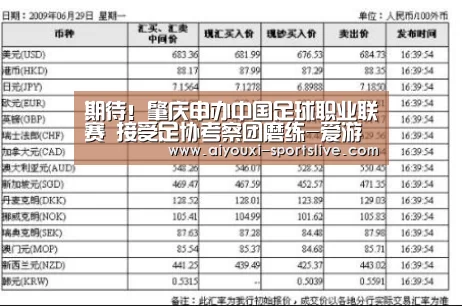 期待!肇庆申办中国足球职业联赛 接受足协考察团磨练-爱游戏电竞娱乐平台(图1) 爱游戏电竞娱乐平台