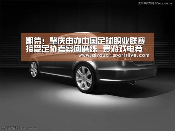 期待!肇庆申办中国足球职业联赛 接受足协考察团磨练-爱游戏电竞娱乐平台(图2) 爱游戏电竞官网