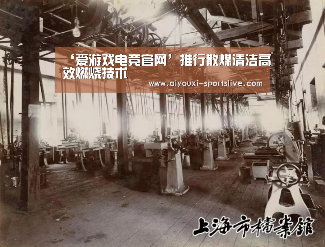 ‘爱游戏电竞官网’推行散煤清洁高效燃烧技术(图4) 爱游戏电竞官网